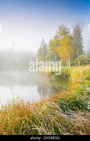 Atmosphère d'automne dans un étang bordé d'arbres, dans la réserve naturelle de Wildert à Illnau, le givre couvre la végétation et les wafts de brume survolant l'eau Banque D'Images