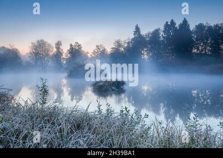 Ambiance matinale automnale à un étang dans la réserve naturelle Wildert à Illnau, le givre couvre la végétation au premier plan ainsi que sur les îles et Banque D'Images