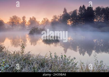 Ambiance matinale automnale à un étang dans la réserve naturelle Wildert à Illnau, le givre couvre la végétation au premier plan ainsi que sur les îles et Banque D'Images