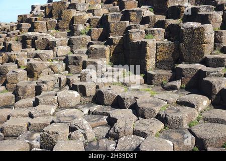 Vue sur les anciennes colonnes de basalte volcanique aux formes géométriques de la chaussée des géants, située dans le comté d'Antrim, sur la côte de l'Irlande du Nord. Banque D'Images