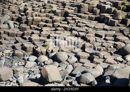 Vue panoramique sur les formations rocheuses volcaniques naturelles aux formes entrecroisées de la chaussée des géants, dans le comté d'Antrim, sur la côte de l'Irlande du Nord Banque D'Images