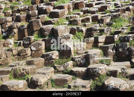 Vue panoramique sur les formations rocheuses volcaniques naturelles avec herbe et lichen à la chaussée des géants, dans le comté d'Antrim, sur la côte nord de l'Irlande du Nord. Banque D'Images