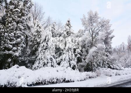 Garez-vous après la tempête de neige.La côte est est gelée dans un « cyclone de la bombe ». Banque D'Images