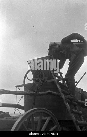 Geernteten Die Trauben der Weinlage Serrig werden nach der Wein 20 dans die Kelter, geschüttet Deutschland 1930 er Jahre. Les raisins récoltés allant à la cuve à Serrig, Allemagne 1930. Banque D'Images