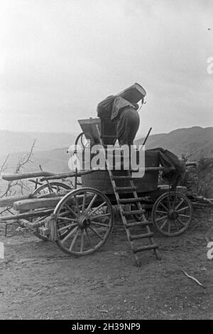 Geernteten Die Trauben der Weinlage Serrig werden nach der Wein 20 dans die Kelter, geschüttet Deutschland 1930 er Jahre. Les raisins récoltés allant à la cuve à Serrig, Allemagne 1930. Banque D'Images