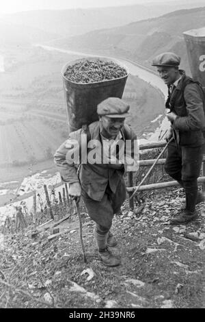 Winzer bei der Wein 20 à Serrig, Deutschland 1930 er Jahre. Les viticulteurs vintaging à Serrig, Allemagne 1930. Banque D'Images