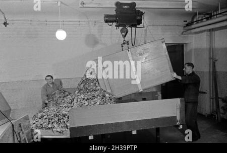 Mitarbeiter Ein bringt eine neue Ladung Tabakblätter für die Herstellung von der Zigaretten Zigarettenfabrik Kyriazi dans Hamburg, Deutschland 1930 er Jahre. Un membre du personnel apportant une nouvelle charge de feuilles de tabac pour la production de cigarettes à l'usine de cigarettes Kyriazi à Hambourg, Allemagne 1930. Banque D'Images