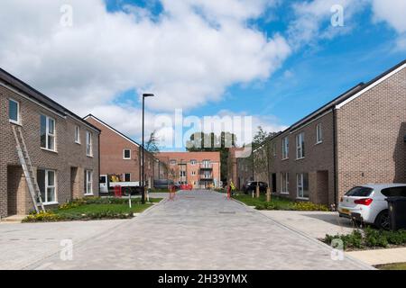 Occupe de nouvelles maisons à Joseph Lancaster Lane, le nouveau développement dans le nord de Chichester, West Sussex, Angleterre, Royaume-Uni. Banque D'Images