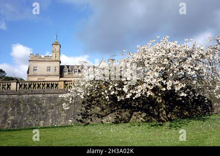 Château de Bangor et Hôtel de ville au printemps.Bangor, Comté en bas, Irlande du Nord Banque D'Images