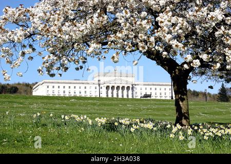 Parlement Stormont au printemps.Belfast, Irlande du Nord Banque D'Images