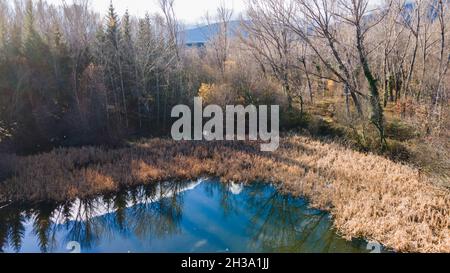 Forêt finlandaise à Madrid, Espagne Banque D'Images