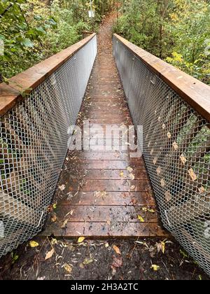 Pont de pied en bois Banque D'Images