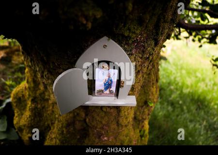 Les sentiers de randonnée de Ronan Way dans le Glen's of Antrim sur la côte d'Antrim à côté de Cushman, en Irlande du Nord. Banque D'Images