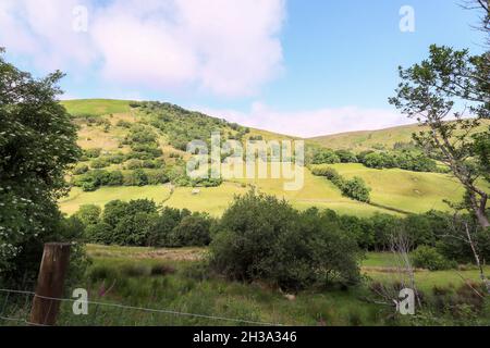 Les sentiers de randonnée de Ronan Way dans le Glen's of Antrim sur la côte d'Antrim à côté de Cushman, en Irlande du Nord. Banque D'Images