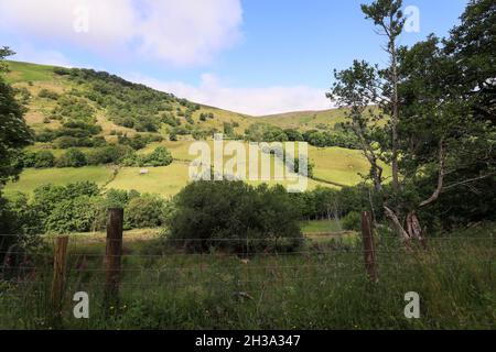 Les sentiers de randonnée de Ronan Way dans le Glen's of Antrim sur la côte d'Antrim à côté de Cushman, en Irlande du Nord. Banque D'Images