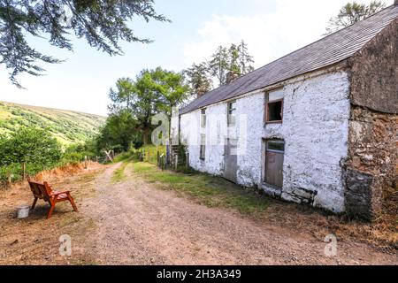 Les sentiers de randonnée de Ronan Way dans le Glen's of Antrim sur la côte d'Antrim à côté de Cushman, en Irlande du Nord. Banque D'Images