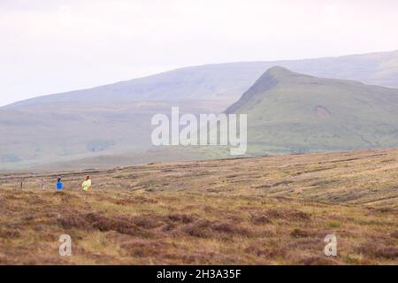 Les sentiers de randonnée de Ronan Way dans le Glen's of Antrim sur la côte d'Antrim à côté de Cushman, en Irlande du Nord. Banque D'Images