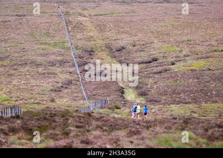 Les sentiers de randonnée de Ronan Way dans le Glen's of Antrim sur la côte d'Antrim à côté de Cushman, en Irlande du Nord. Banque D'Images