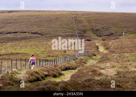 Les sentiers de randonnée de Ronan Way dans le Glen's of Antrim sur la côte d'Antrim à côté de Cushman, en Irlande du Nord. Banque D'Images