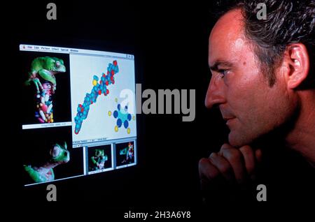 LES SÉCRÉTIONS DE LA PEAU DE CES MAGNIFIQUES GRENOUILLES ARBORESCENTES CONTIENNENT DES PEPTIDES (PETITES PROTÉINES) DONT LES PROPRIÉTÉS MÉDICINALES PERMETTENT LE Banque D'Images