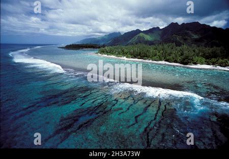 POLYNÉSIE FRANÇAISE.ÎLES DE LA SOCIÉTÉ.ÎLE DE MOOREA (ÎLES LEEWARD).LE RÉCIF DE CORAIL PRÈS DU CLUB MEDITERRANEAN Banque D'Images