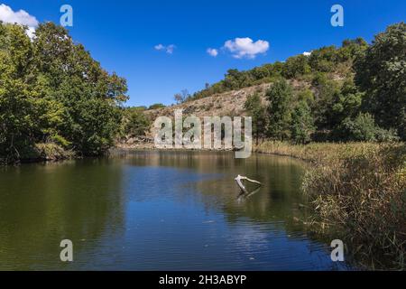 Réserve naturelle de la rivière Ropotamo près de la station balnéaire de Primorsko en Bulgarie Banque D'Images