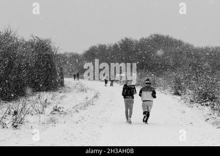 Vue générale (en noir et blanc) des marcheurs sur Hounslow Heath lors d'une forte tempête de neige le 24 janvier 2021.(Voir 2H3AH08 pour la version couleur plus large.) Banque D'Images