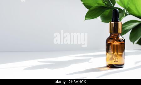 Flacon compte-gouttes en verre sur fond blanc gris avec feuilles.Ombres dures.Pipette cosmétique sur fond blanc.Bannière Banque D'Images