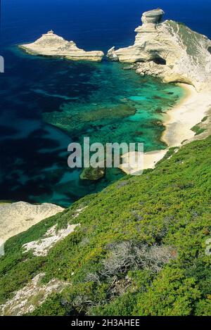 FRANCE. CORSE DU SUD (2A) BONIFACIO. FALAISES Banque D'Images