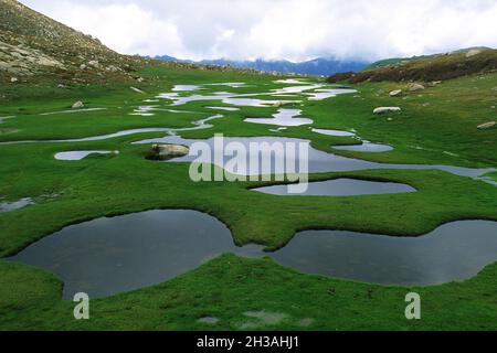 FRANCE.CORSE DU NORD (2B) LAC NINO.POZZINES Banque D'Images