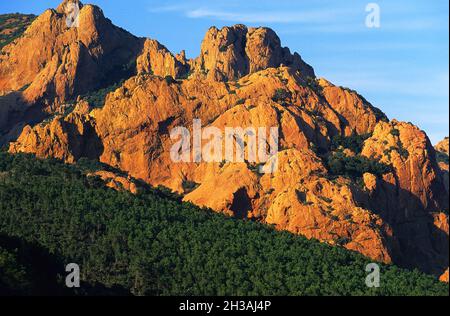 FRANCE.VAR (83) MASSIF DE L'ESTEREL Banque D'Images