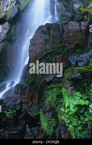 FRANCE.BAS-RHIN (67) RÉGION ALSACE.CASCADE DE NIDECK Banque D'Images