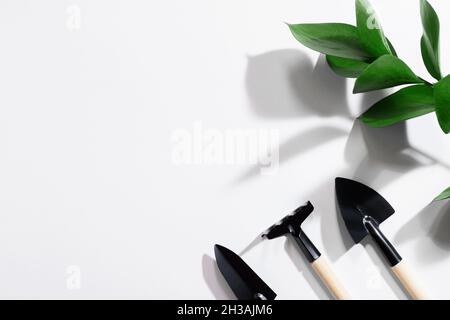 Pelles et râteaux isolés sur fond blanc avec plante verte.Jardinage à la maison.Outils de jardinage.La croissance des semis à la maison.Mise en page avec emplacement pour Banque D'Images