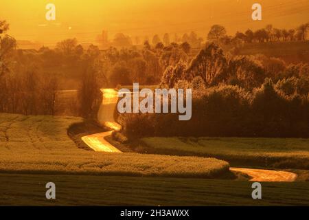 Route de campagne dans beau coucher de soleil doré lumière à travers les champs agricoles avec des insectes étincelants dorés, Eifel, Allemagne Banque D'Images