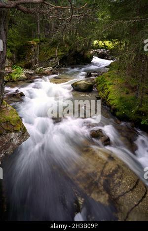 Plan vertical d'un puissant ruisseau fluvial qui coule au milieu de la forêt entourée d'arbres Banque D'Images