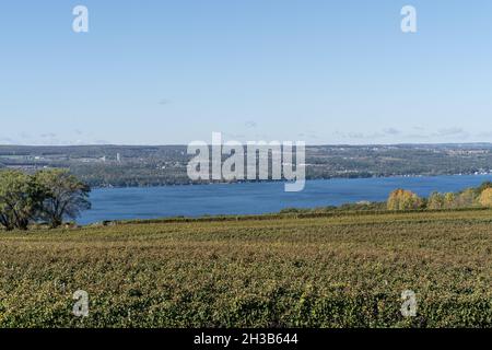 Paysage d'automne du lac Seneca et vignoble au coeur du pays viticole de Finger Lakes, New York Banque D'Images