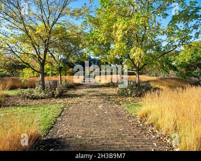 Chemin à travers un parc lors d'une journée d'automne ensoleillée Banque D'Images