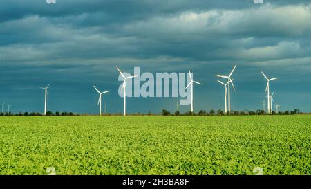 Windkraftanlagen im Solar Valley , BEI Bitterfeld-Wolfen Sachsen-Anhalt, Allemagne | GERMANY Solar Valley , parc à éoliennes à Bitterfeld Wolfen Banque D'Images