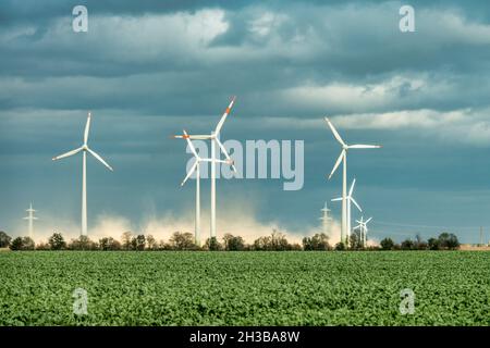 Windkraftanlagen im Solar Valley , BEI Bitterfeld-Wolfen Sachsen-Anhalt, Allemagne | GERMANY Solar Valley , parc à éoliennes à Bitterfeld Wolfen Banque D'Images