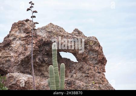 Le sentier de Peralta Canyon - une randonnée dans les montagnes de Superstition de l'ouest de l'Arizona Banque D'Images