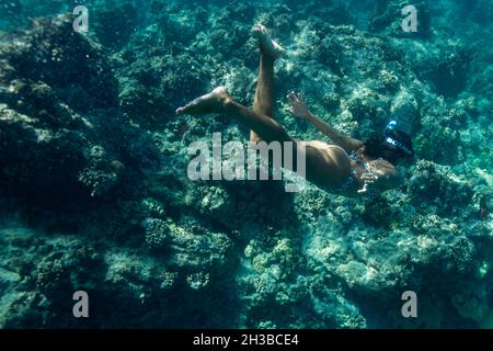 La femelle nage sous l'eau dans les eaux bleu hawaïennes Banque D'Images