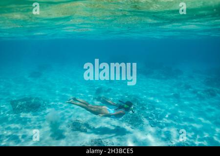 La femelle nage sous l'eau dans les eaux bleu hawaïennes Banque D'Images