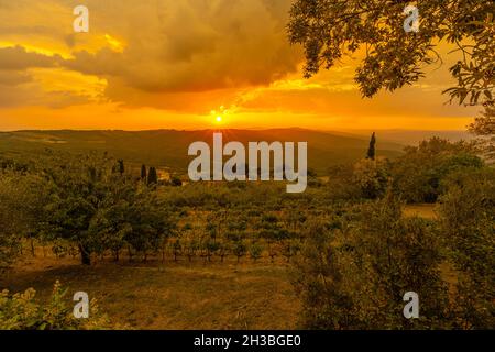 toscane wineryard, un village viticole de Montalcino en Italie.Vue panoramique au coucher du soleil sur les vignobles en terrasse, campagne italienne de la montagne toscane Banque D'Images