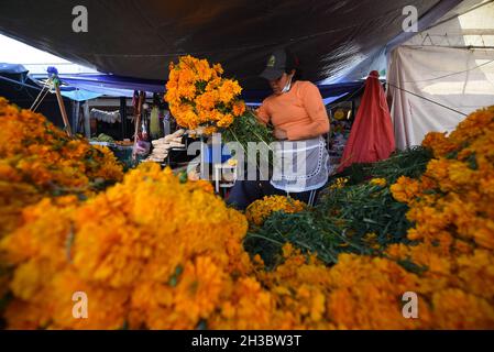 27 octobre 2021 : les vendeurs du marché de la ville de Xalapa préparent la vente des fleurs marigmées traditionnelles, des bonbons et des crânes en chocolat pour la préparation des autels des morts.Cette tradition est célébrée au Mexique et dans certains pays de Centroamerica du 28 octobre au 2 novembre.(Credit image: © Hector Adolfo Quintanar Perez/ZUMA Press Wire) Banque D'Images