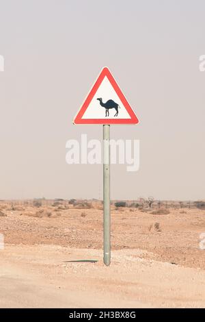 Attention au panneau de signalisation routière pour les véhicules qui se croisent.Panneau de rue danger d'animaux errants causant un accident de la route. Banque D'Images