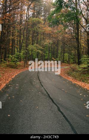 Route sinueuse avec des courbes passant par la forêt en automne avec feuillage d'automne en octobre en Nouvelle-Angleterre Banque D'Images