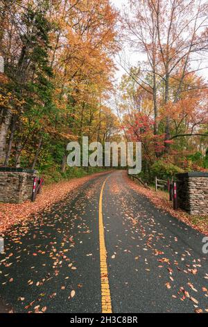 Route sinueuse avec des courbes passant par la forêt en automne avec feuillage d'automne en octobre en Nouvelle-Angleterre Banque D'Images