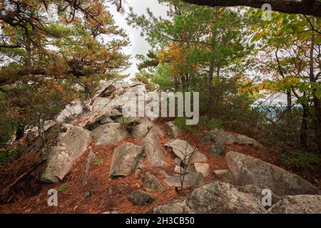 Flanc de coteau rocheux sur la montagne dans le Massachusetts le jour nuageux en automne avec feuillage d'automne pendant la saison d'octobre regardant au-dessus de la vallée Banque D'Images