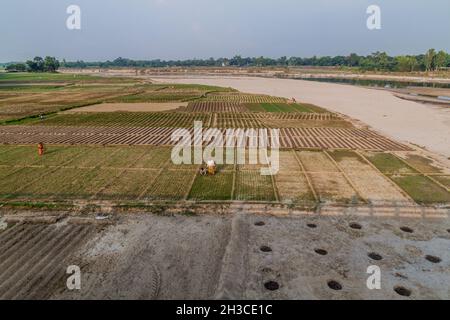 KANTANAGAR, BANGLADESH - 8 NOVEMBRE 2016 : paysans dans un champ de Kantanagar près de la rivière Dhepa, Bangladesh Banque D'Images