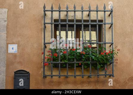 Détail de la fenêtre d'une ancienne maison avec grille métallique et géraniums en pot sur le seuil, Castagneto Carducci, Livourne, Toscane, Italie Banque D'Images